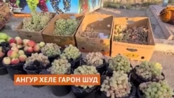 Имсол дар Тоҷикистон нархи ангур хеле гарон шудааст