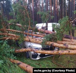 У выніку стыхіі зафіксавалі 73 выпадкі падзеньня дрэў. Фота Міністэрства надзвычайных сытуацый