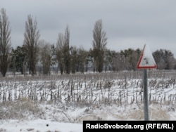 Поле засталося зімаваць зь несабраным сланечнікам праз пагрозу наяўнасьці мін