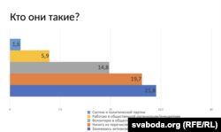 Графіка з прэзэнтацыі «Формы жаночага палітычнага ўдзелу і актывізму»