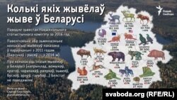 Колькасьць некаторых відаў жывёлаў у Беларусі паводле Нацыяналньага статыстычнага камітэту