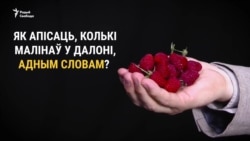 Як сказаць адным словам, колькі малінаў у далоні?