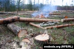 Лесьнікі зьехалі зь дзялянкі, вогнішчы пакінулі без нагляду