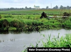 ...і стала. Аўтарская хроніка