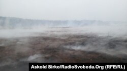 Тленьне тарфяніку, ілюстрацыйнае фота