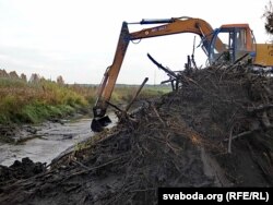 Экскаватар разбурае бабровую плаціну ў водаахоўнай зоне. Ваколіцы вёскі Ахрэмавічы, Стаўпецкі раён. Кастрычнік 2017