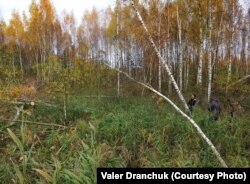 Водаахоўная зона рэчкі Гавязьнянкі ў ваколіцах вёскі Вішнявец (гістарычнай Гавязны). Стаўпецкі раён, 19 кастрычніка 2017. Аўтарская хроніка