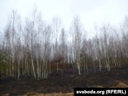 Характэрны пэйзаж на расейскім баку, непадалёк ад беларускай мяжы