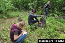 Габрэйскія могілкі ў вёсцы Круча Круглянскага раёну