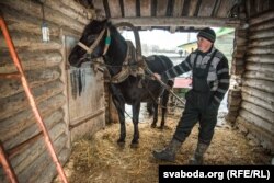 Аляксей Вусікаў у падворку са сваёй кабылай Зоркай