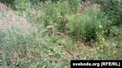 Belarus - Mahilyou cemetery with victims of Soviet bombing of Mahilyou, 15Jul2015