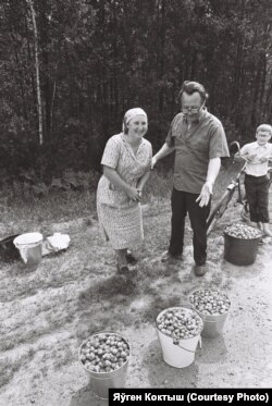 Сьвежая бульба пры дарозе