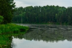 Рака Нёман каля вёскі Жылічы