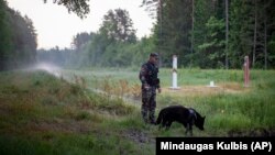 Літоўскі памежнік на беларуска-літоўскай мяжы. Ілюстрацыйнае фота