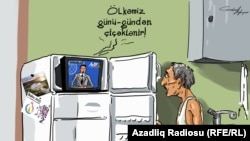 "Çiçəklənən Azərbaycan". Karikatura. Gündüz Ağayev