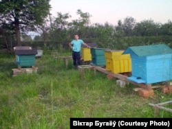 Вульлёў таксама мусілі пазбыцца